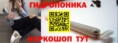 гидра Волгодонск