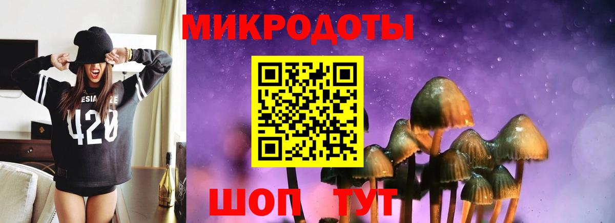 Галлюциногенные грибы Magic Shrooms  как найти   Нарткала  Вход с VPN  Галлюциногенные грибы Psilocybe 